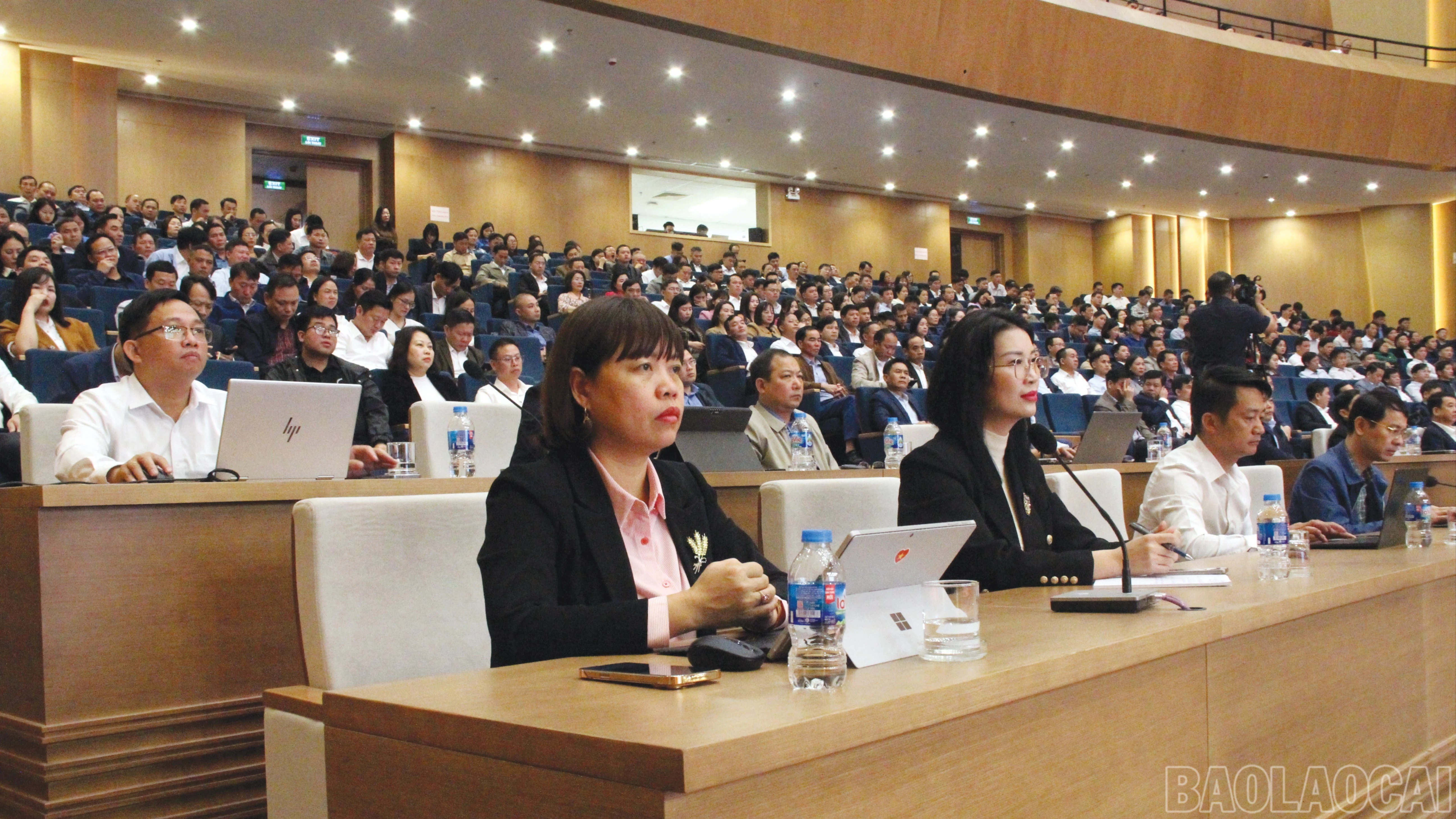 baolaocai-br_7-4030.jpg