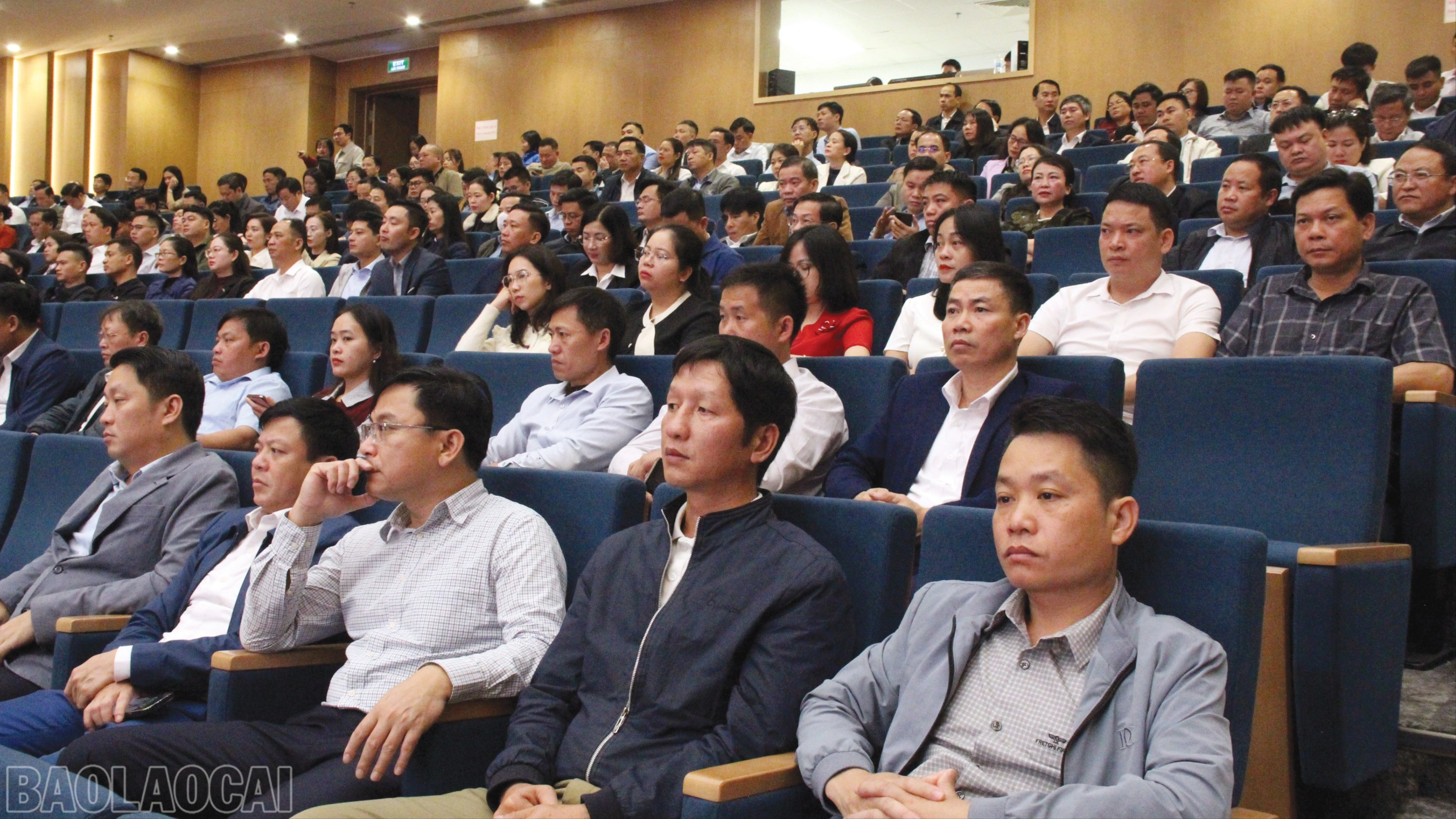 baolaocai-bl_5-4383.jpg