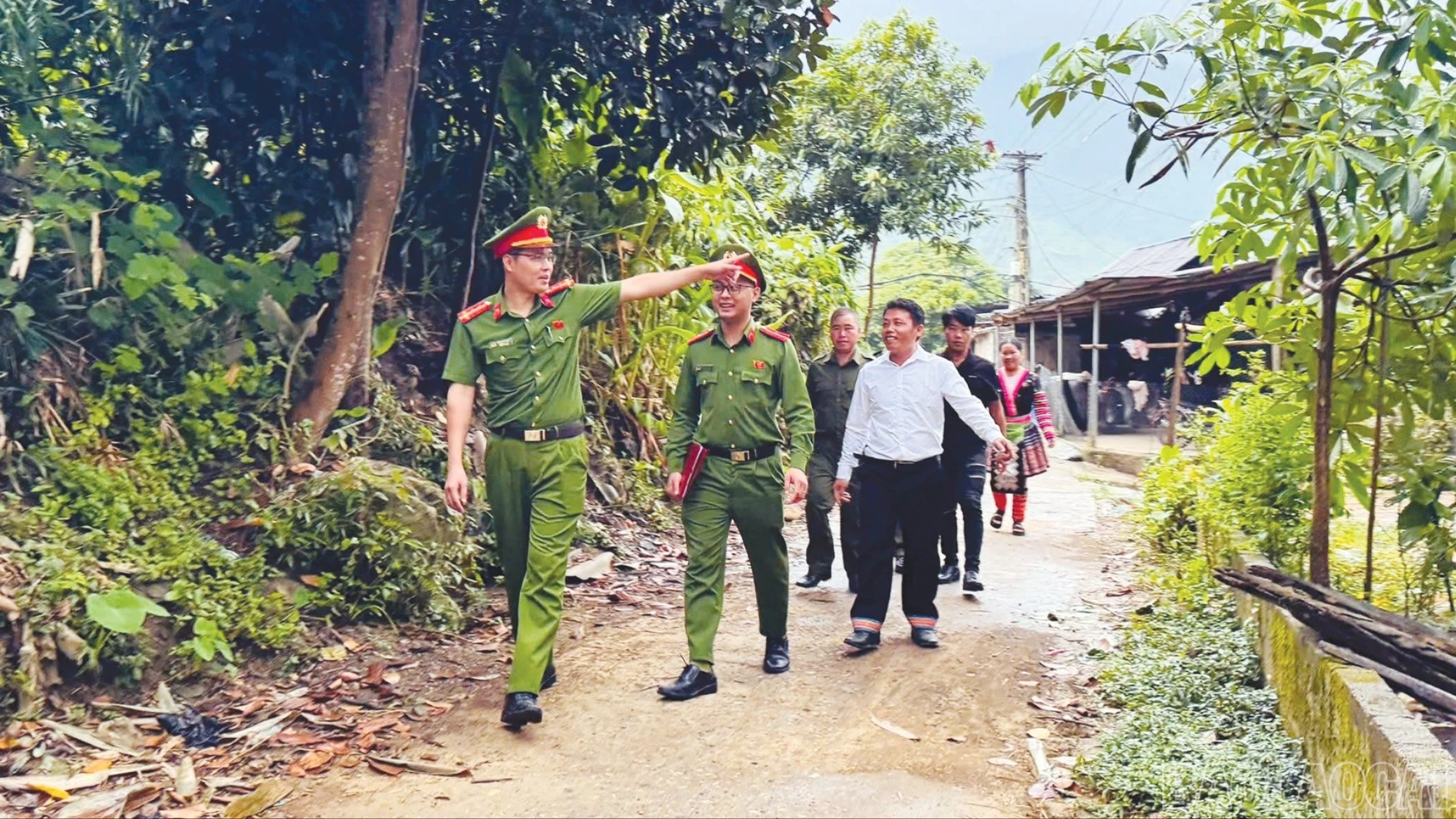 baolaocai-br_an-5932.jpg