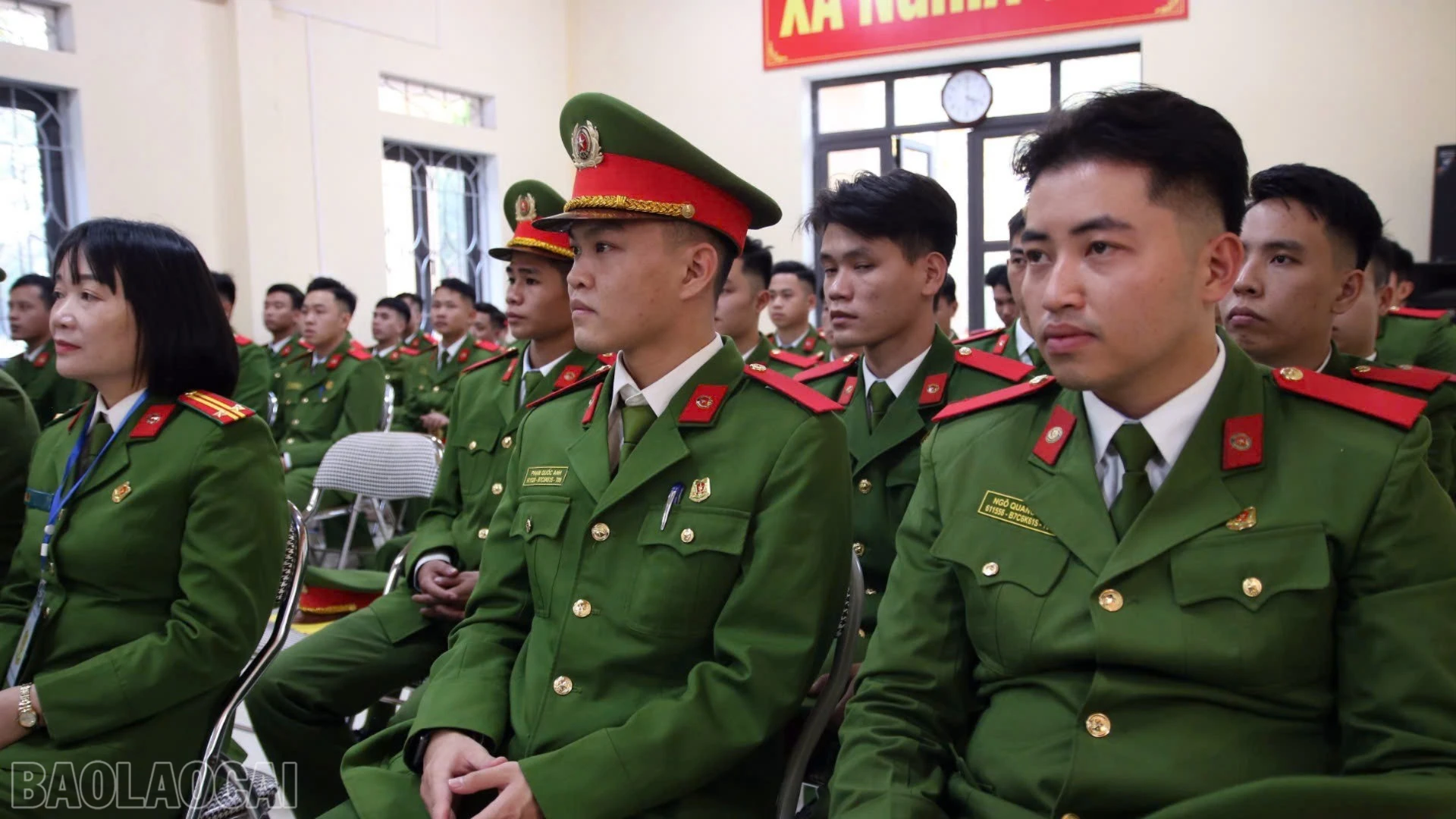 baolaocai-bl_7-842.jpg