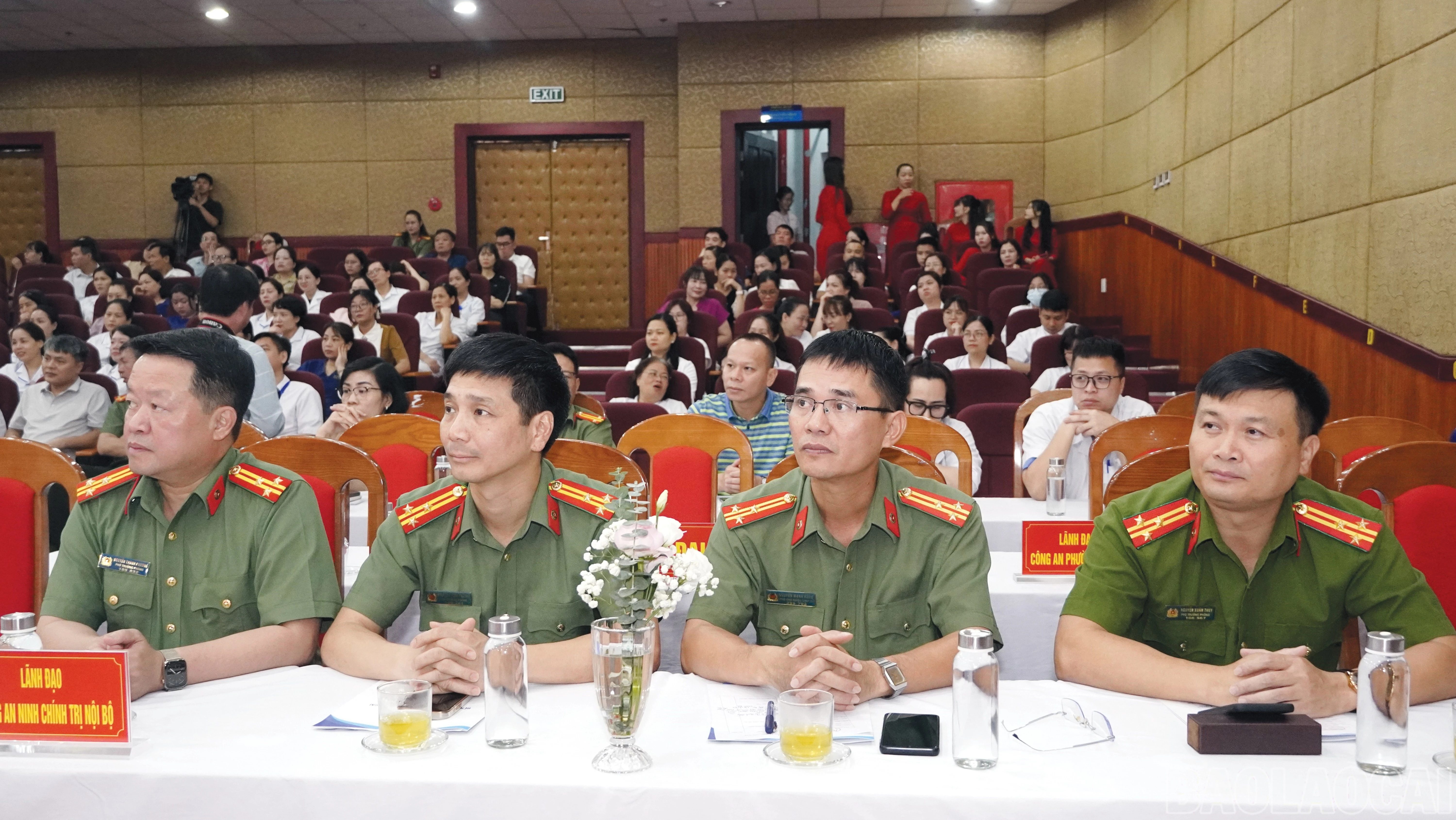 baolaocai-br_10-3820.jpg