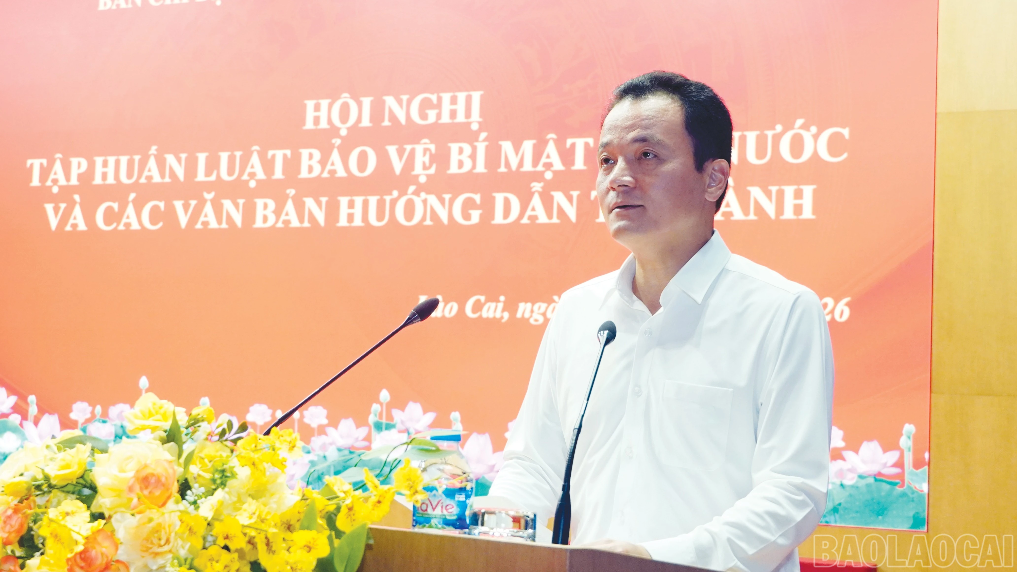 baolaocai-br_11-7266.jpg