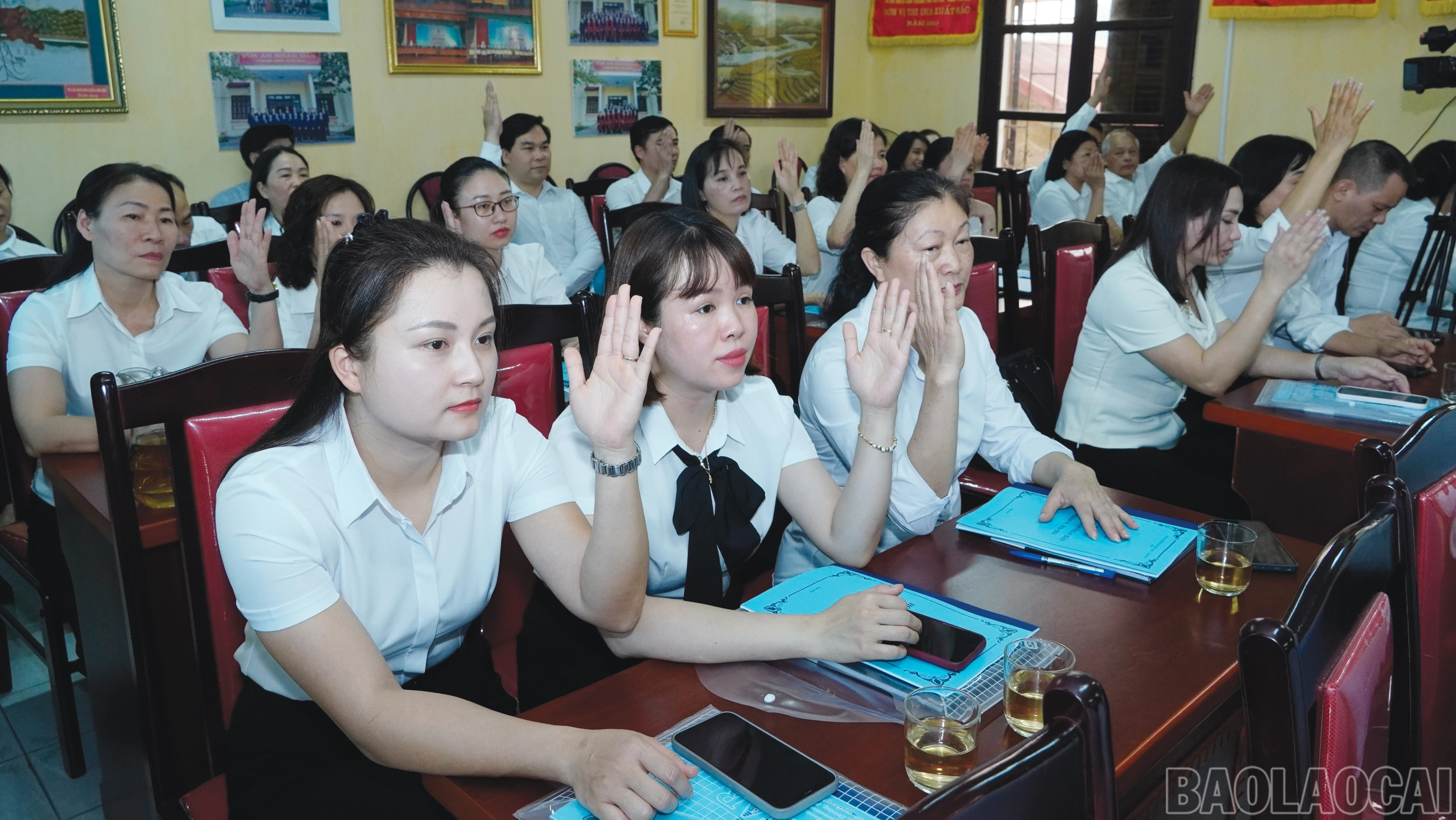 baolaocai-br_3-4567.jpg