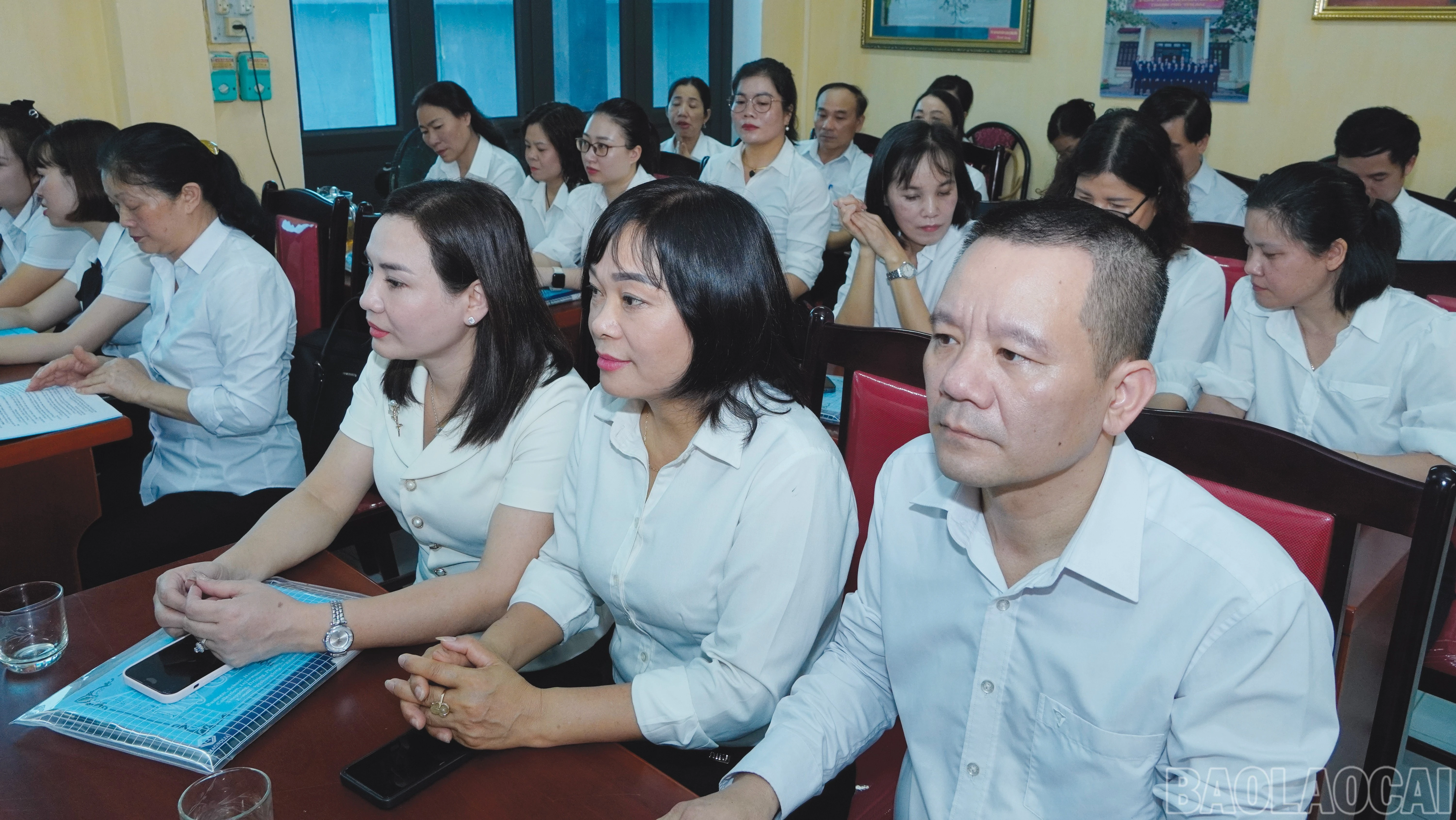 baolaocai-br_8-4288.jpg