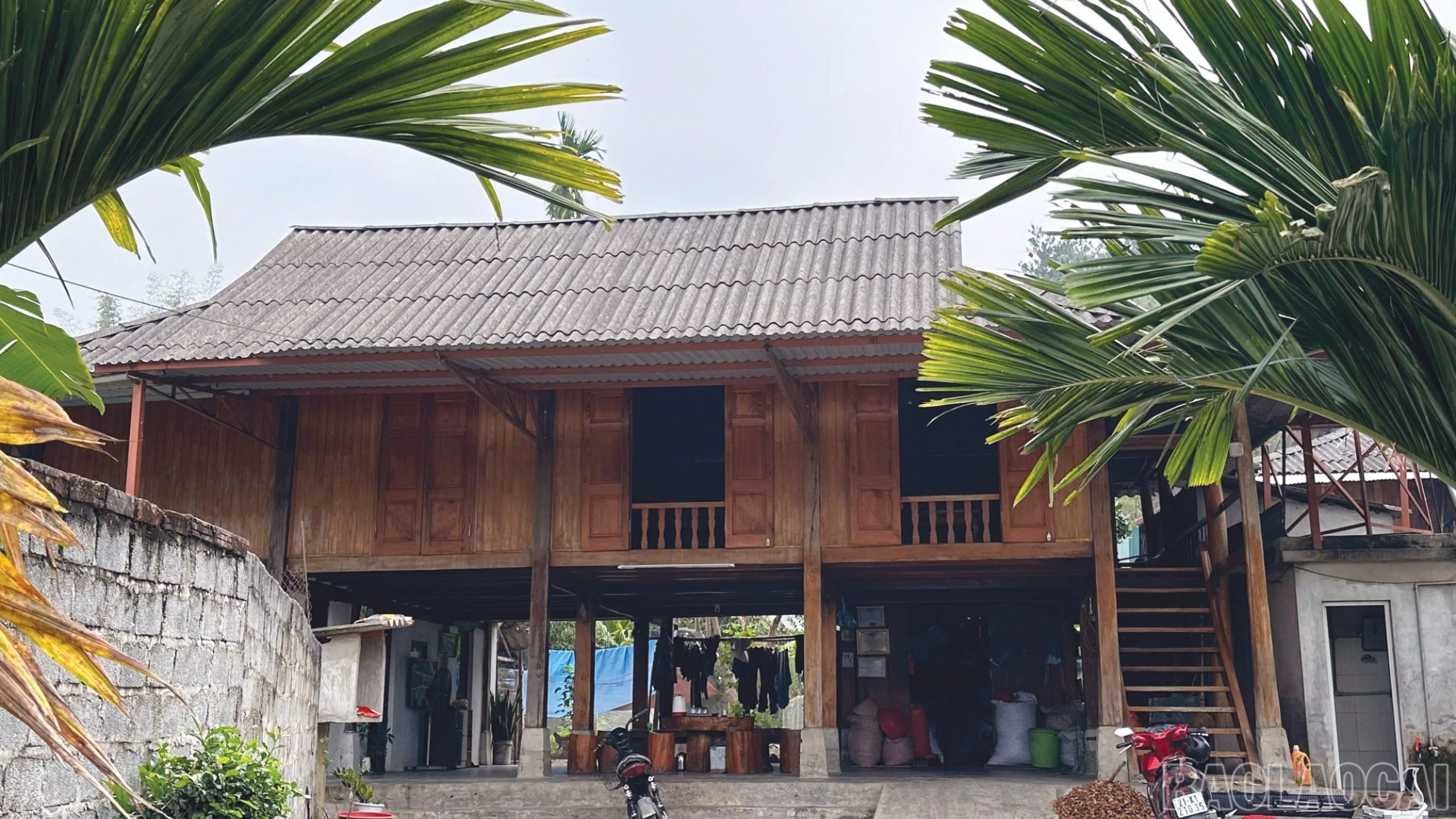 baolaocai-br_10-9675.jpg