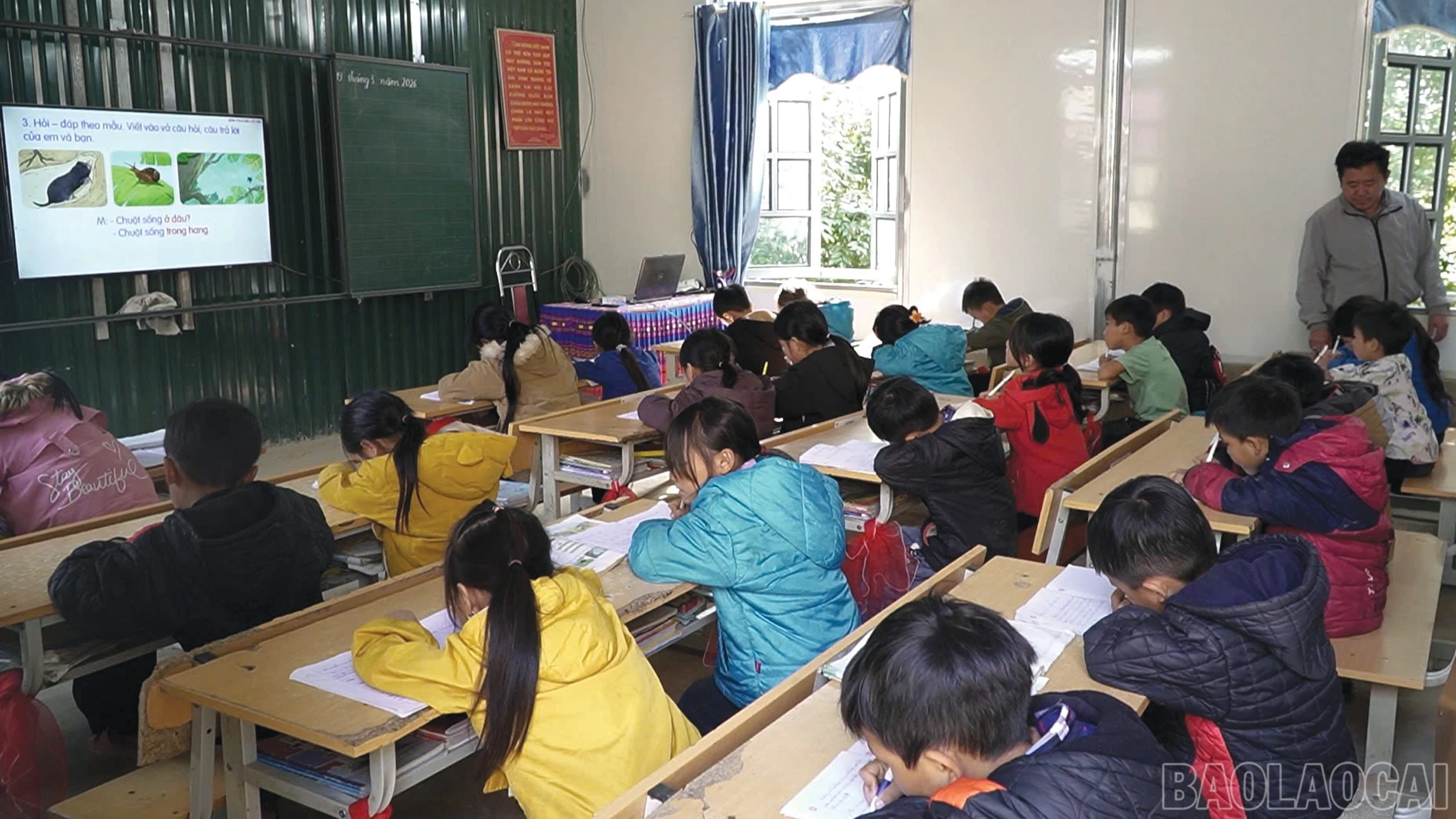 baolaocai-br_6-9722.png