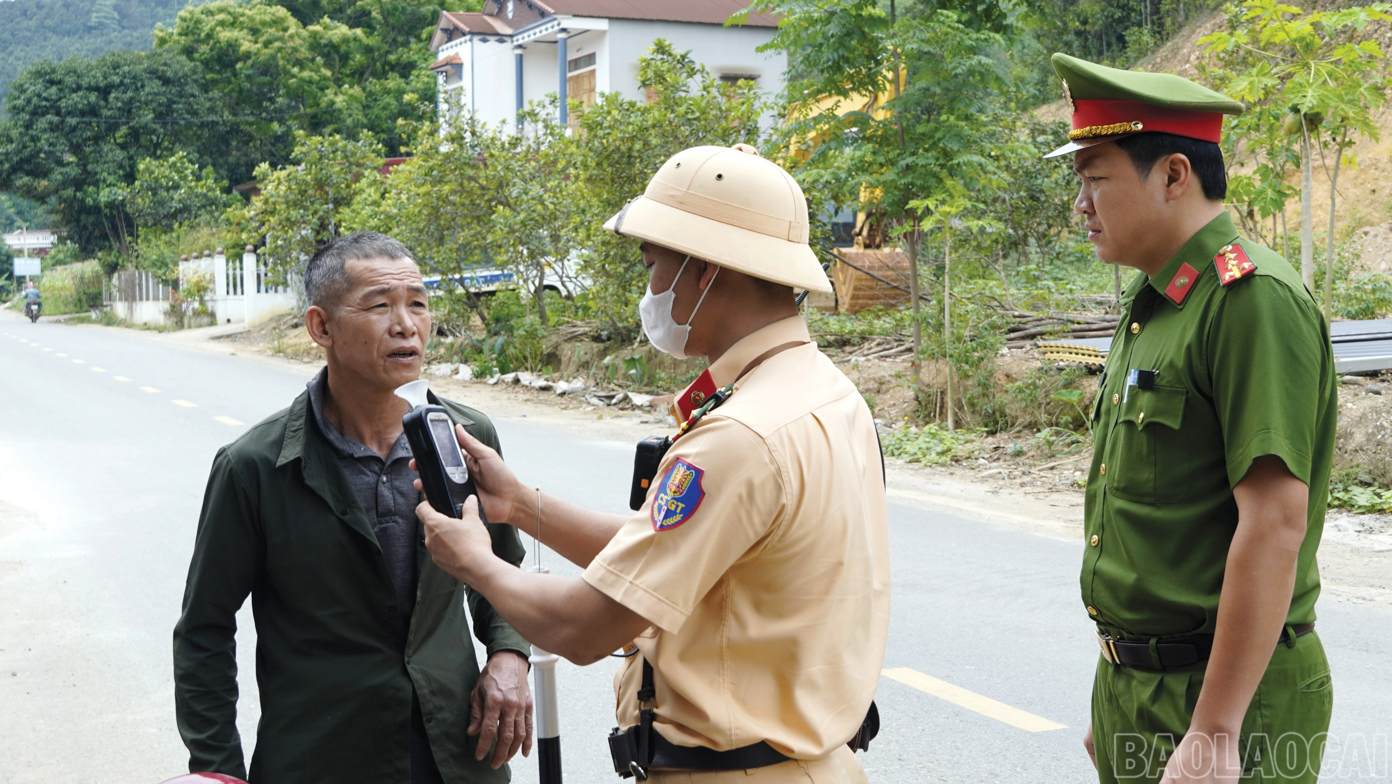 baolaocai-br_20-8700.jpg
