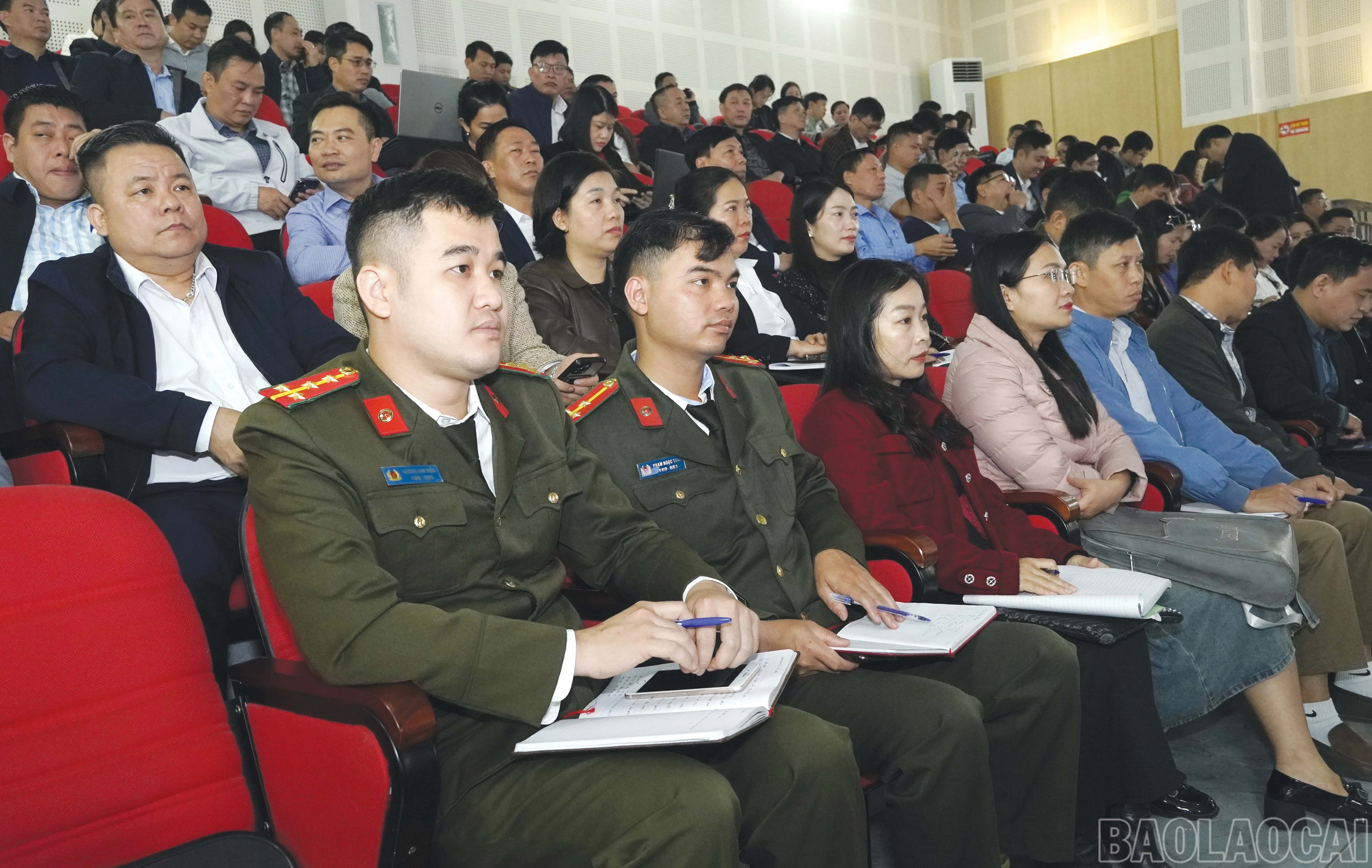 baolaocai-br_3.jpg