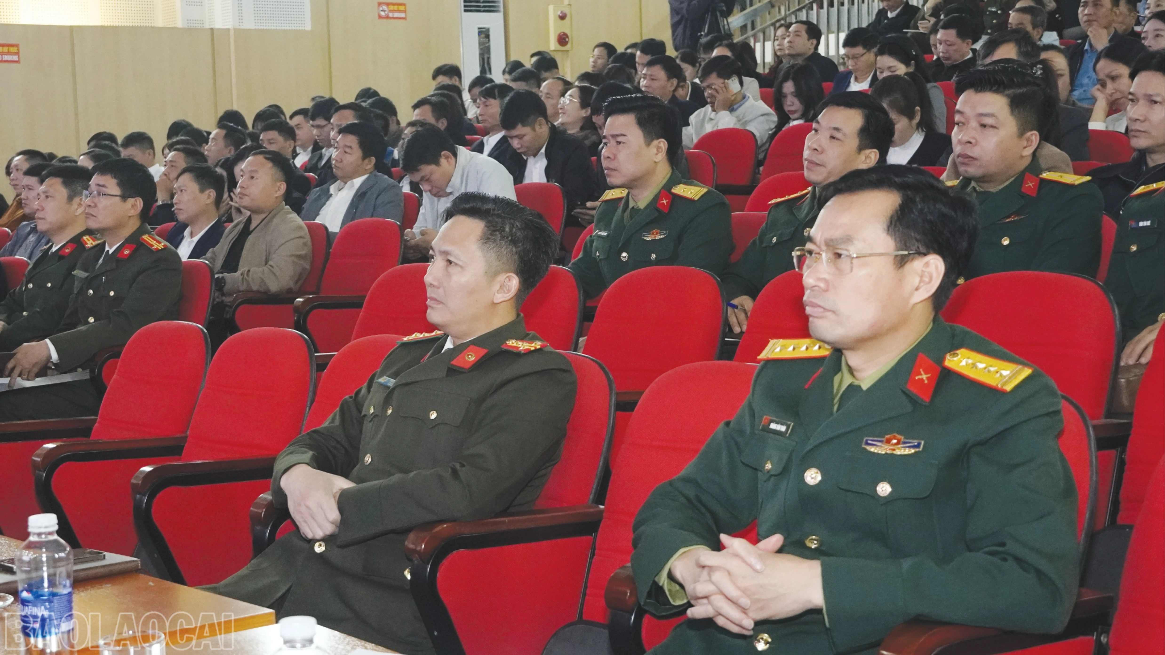 baolaocai-bl_6-7595.jpg