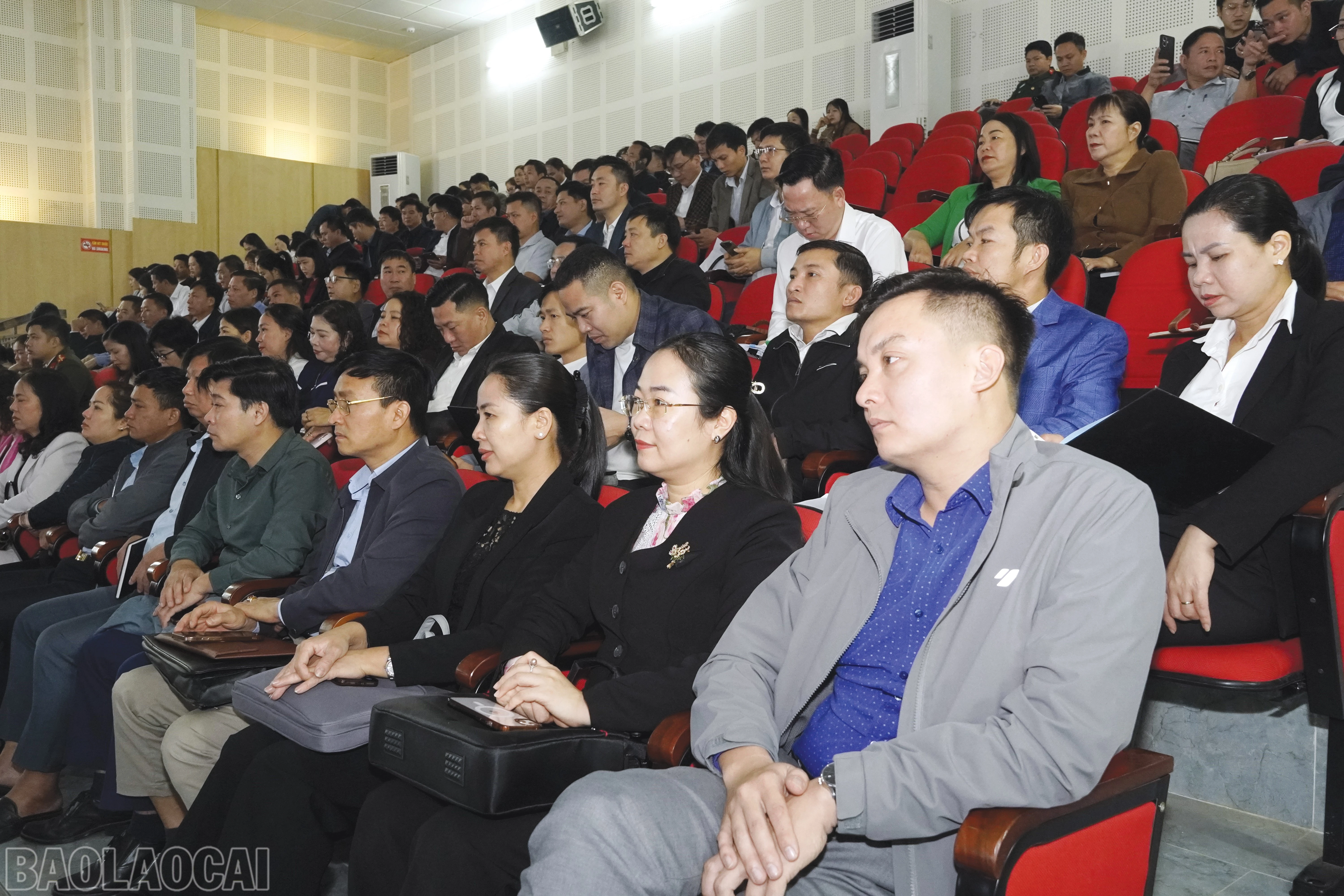 baolaocai-bl_4.jpg