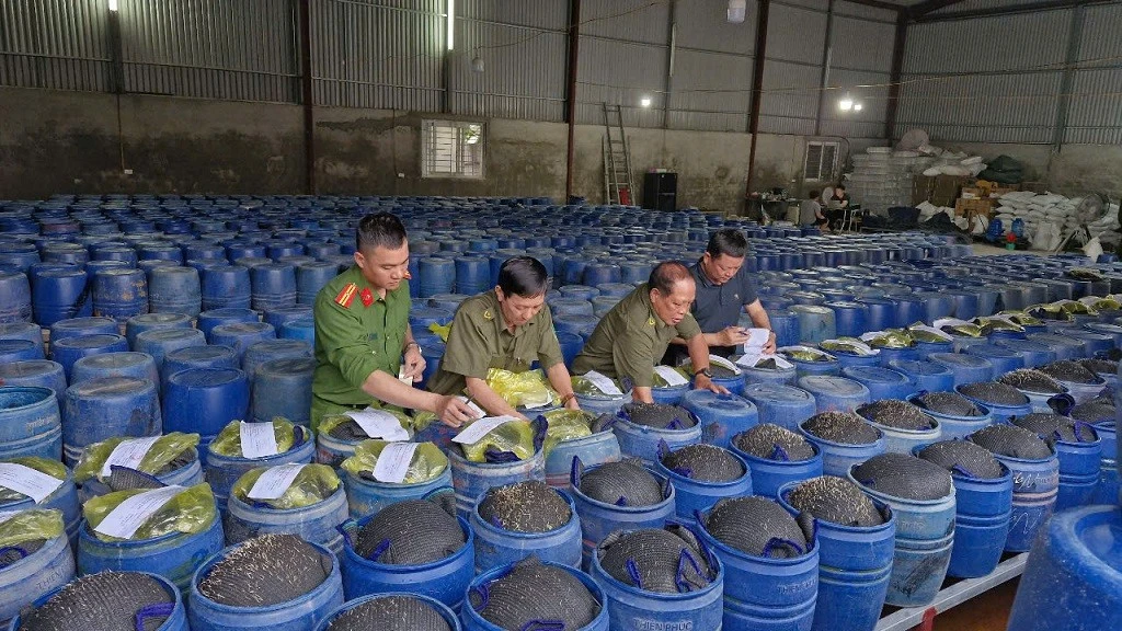 Lực lượng chức năng tiến hành niêm phong các thùng chứa giá đỗ ngâm hóa chất.