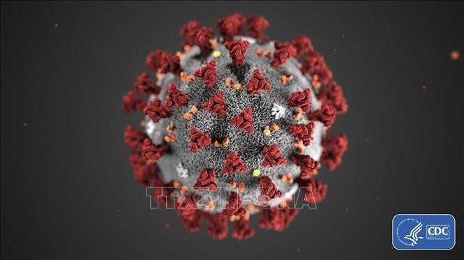 Hình ảnh do Trung tâm phòng ngừa và kiểm soát dịch bệnh Mỹ (CDC) cho thấy hình thái cấu tạo của virus corona chủng mới Covid-19 gây dịch viêm đường hô hấp cấp. (Ảnh minh họa) Hình ảnh do Trung tâm phòng ngừa và kiểm soát dịch bệnh Mỹ (CDC) cho thấy hình thái cấu tạo của virus corona chủng mới Covid-19 gây dịch viêm đường hô hấp cấp. (Ảnh minh họa)