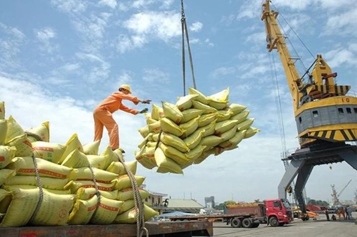 Gạo xuất khẩu lấy lại vị thế "đắt giá nhất thế giới".