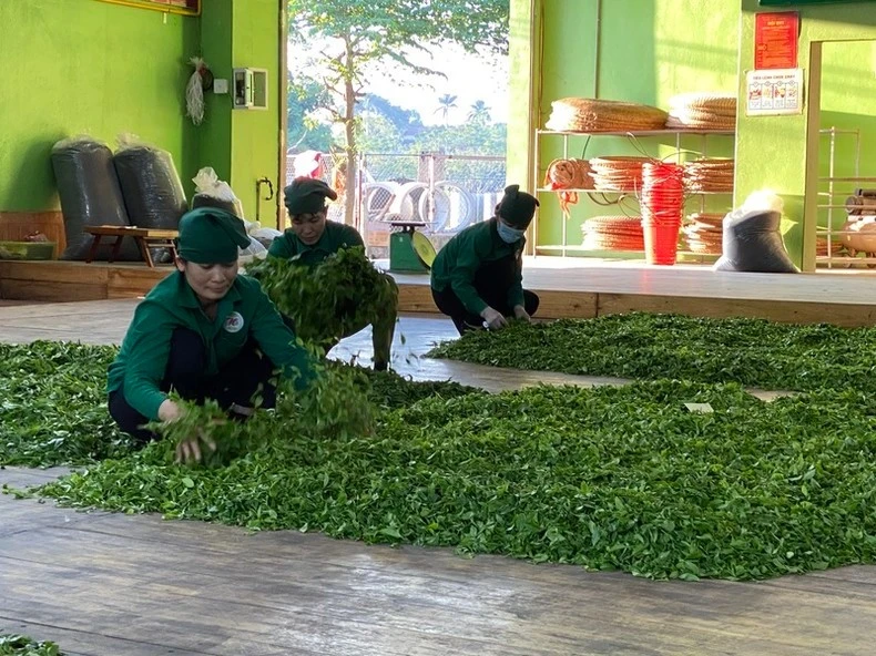 Người dân có việc làm, thu nhập vươn lên thoát nghèo.