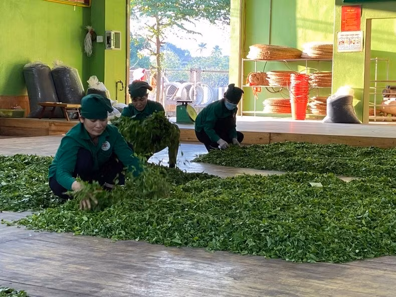 Người dân có việc làm, thu nhập vươn lên thoát nghèo.