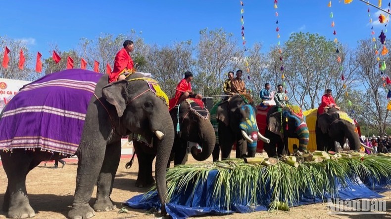 Hội voi Buôn Đôn là một trong những lễ hội đặc sắc vùng Tây Nguyên. Hội voi Buôn Đôn là một trong những lễ hội đặc sắc vùng Tây Nguyên.
