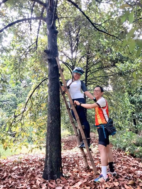 Vườn cây măng cụt tại TP.Thuận An được giới thiệu đến bạn bè trong và ngoài tỉnh.