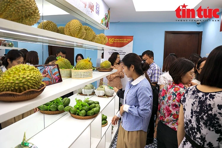 Các loại trái cây như xoài cát, thanh long đỏ, sầu riêng… được trưng bày bắt mắt, thu hút sự chú ý của người tiêu dùng.