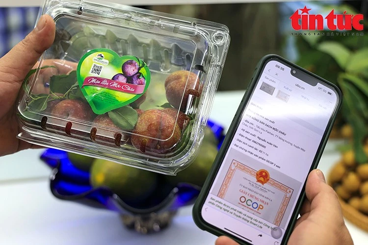 Việc ứng dụng mã QR tại Phòng trưng bày giúp người tiêu dùng tiếp cận thông tin sản phẩm một cách nhanh chóng và tin cậy.