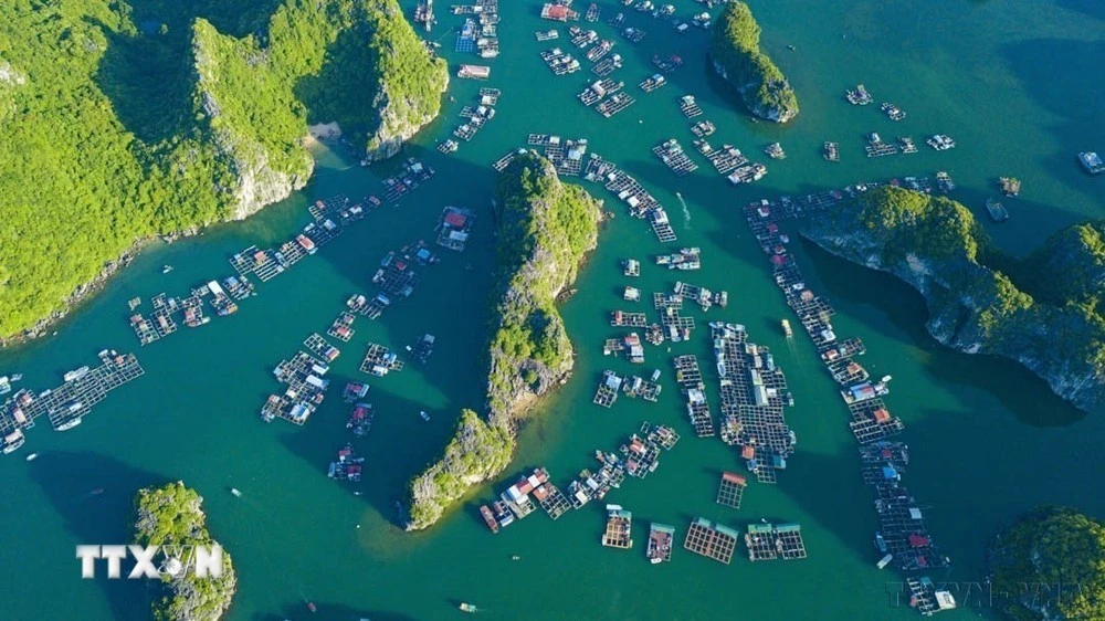 Vẻ đẹp của Vịnh Lan Hạ (nằm ở phía Đông đảo Cát Bà) nhìn từ trên cao.