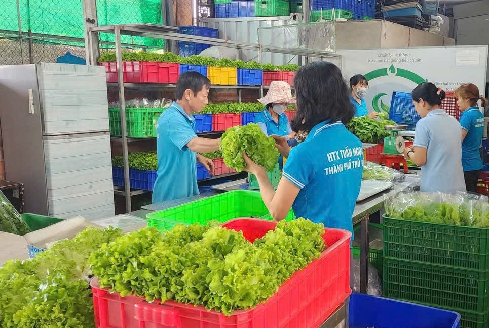 Việc sản xuất xanh sẽ giúp doanh nghiệp đáp ứng xu thế phát triển của thế giới và được người tiêu dùng ưu tiên lựa chọn. Việc sản xuất xanh sẽ giúp doanh nghiệp đáp ứng xu thế phát triển của thế giới và được người tiêu dùng ưu tiên lựa chọn.