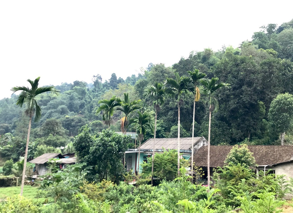Làng Vĩ Kim bình dị với những căn nhà cùng vườn cây xanh mát. (Ảnh: Tô Dung) lang-vi-kim-binh-di-voi-nhung-ngoi-nha-vuon.jpg