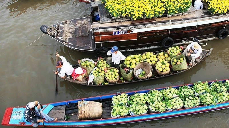 Hoạt động mua bán trái cây ở miệt vườn sông nước Nam Bộ luôn hấp dẫn du khách.