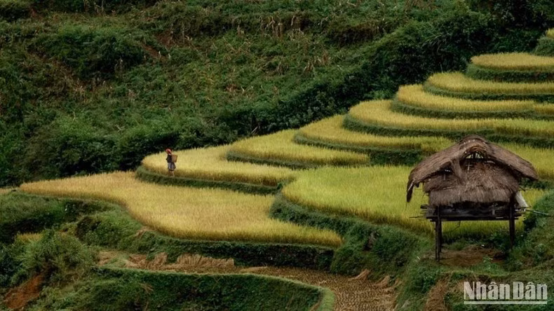 Văn hóa bản địa là điểm nhấn hấp dẫn du khách.