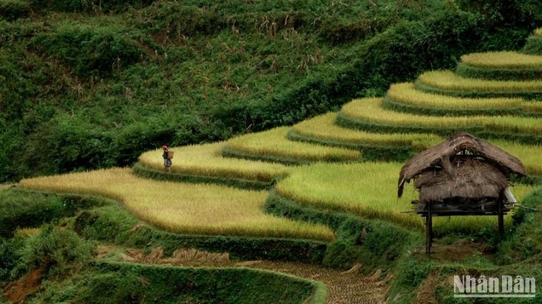Văn hóa bản địa là điểm nhấn hấp dẫn du khách. Văn hóa bản địa là điểm nhấn hấp dẫn du khách.