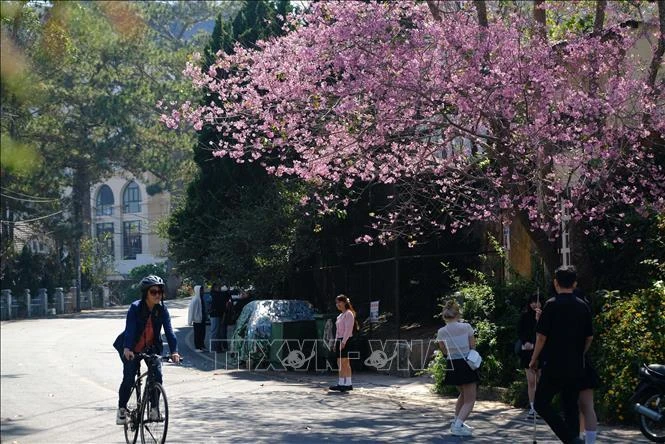 Đà Lạt là địa danh đứng đầu danh sách xu hướng du lịch dịp 2/9.