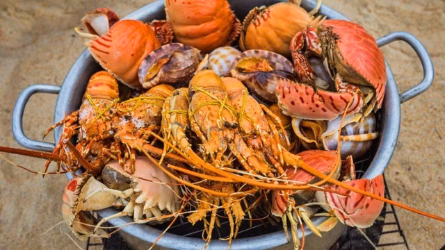 Nha Trang được ví như thủ phủ hải sản của Việt Nam.