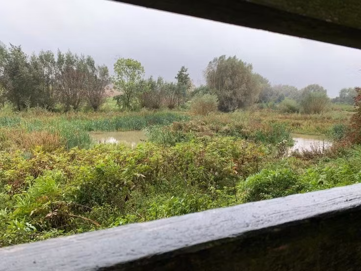 Trên khắp khu vực tái phát triển, một số ao đã được tạo ra để thúc đẩy đa dạng sinh học.