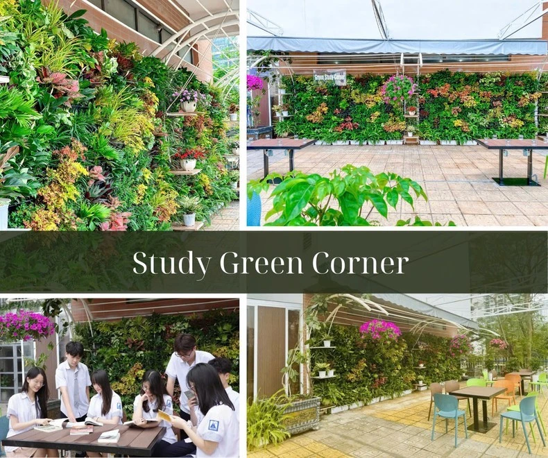 Thư viện xanh Study Green Corner của Trường chuyên Hà Nội - Amsterdam.