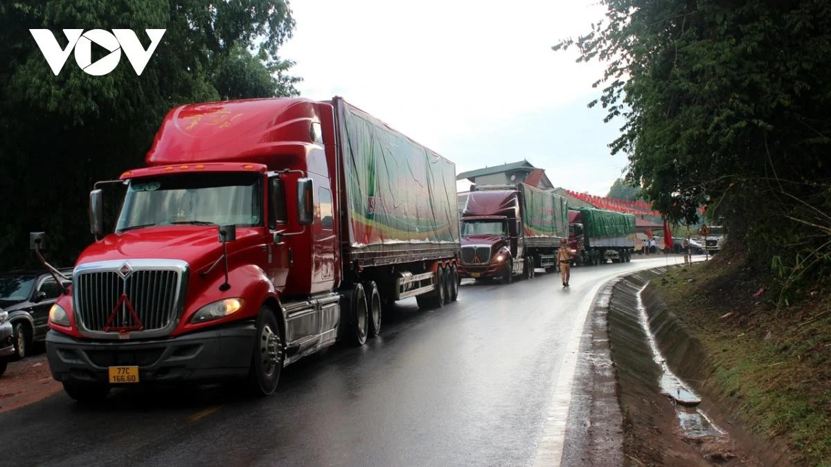 Trong tháng 3 và 3 tháng đầu năm 2025, xuất khẩu rau quả sang Trung Quốc giảm mạnh.