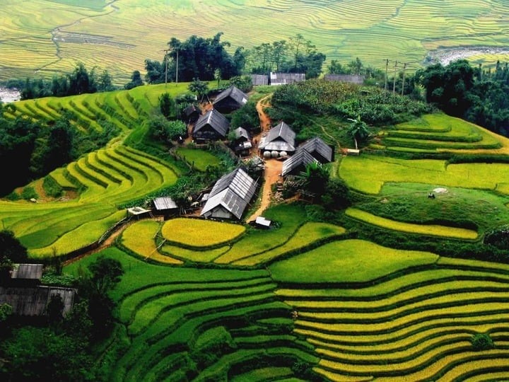Bản Tả Phìn nằm giữa những thửa ruộng bậc thang uốn lượn đẹp mắt. Bản Tả Phìn nằm giữa những thửa ruộng bậc thang uốn lượn đẹp mắt.