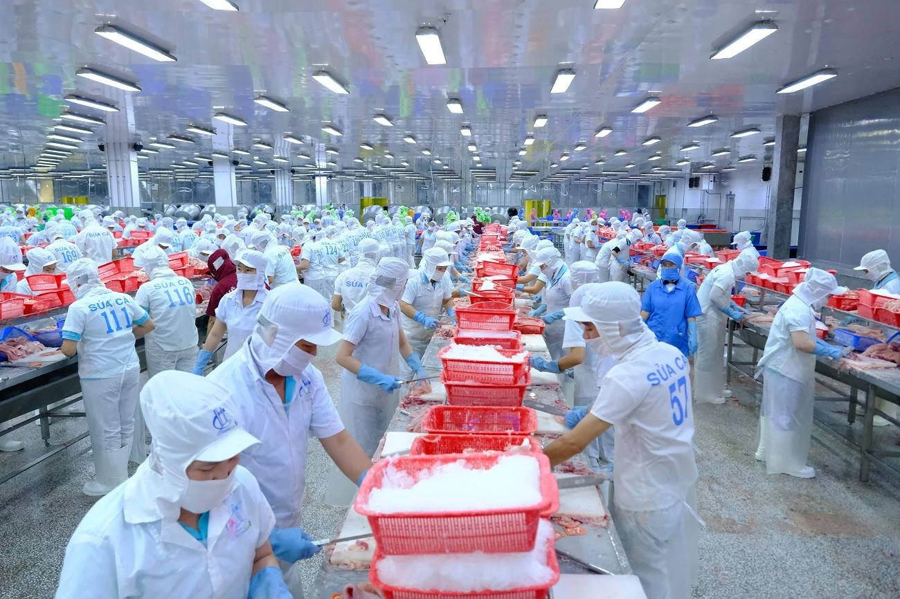 Xuất khẩu thuỷ sản trông chờ những cơ hội mới.