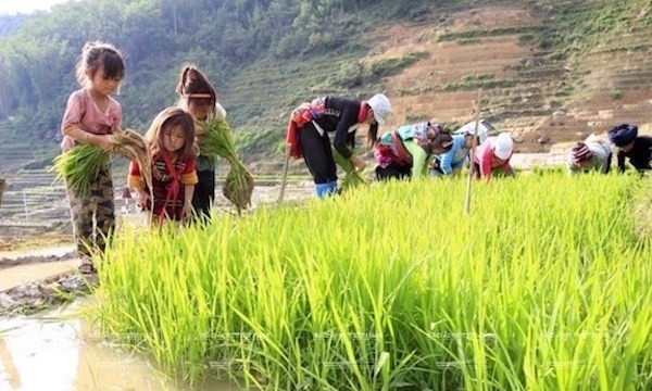 Việt Nam cần tạo điều kiện cho gia đình để họ có thể ưu tiên lợi ích lâu dài của giáo dục cho con cái hơn lợi ích tài chính ngắn hạn của lao động trẻ em. Việt Nam cần tạo điều kiện cho gia đình để họ có thể ưu tiên lợi ích lâu dài của giáo dục cho con cái hơn lợi ích tài chính ngắn hạn của lao động trẻ em.