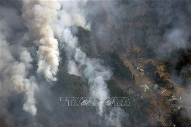 Cháy rừng nghiêm trọng tại thành phố Ofunato, tỉnh Iwate, Đông Bắc Nhật Bản ngày 28/2/2025.