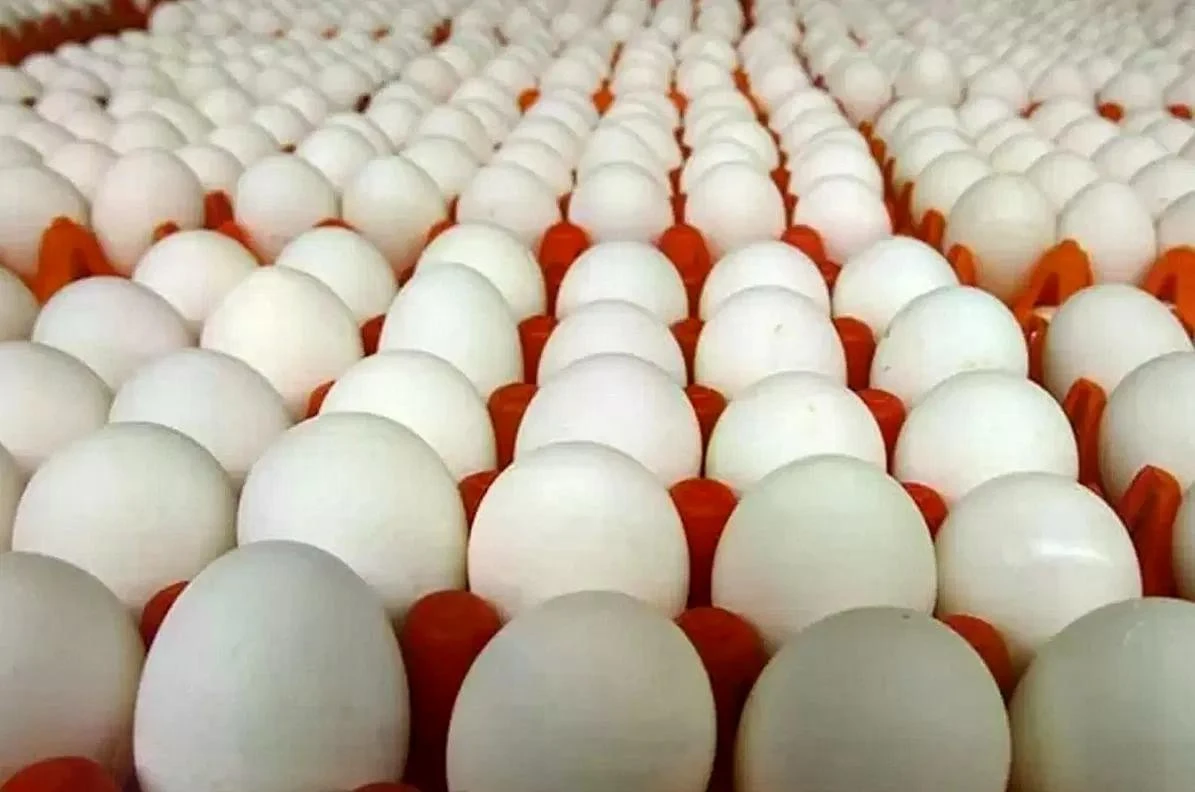 Giá trứng gà tại các chợ dân sinh, chợ đầu mối trên địa bàn Hà Nội hiện đang đứng ở mức 2.000-2.200 đồng/quả.