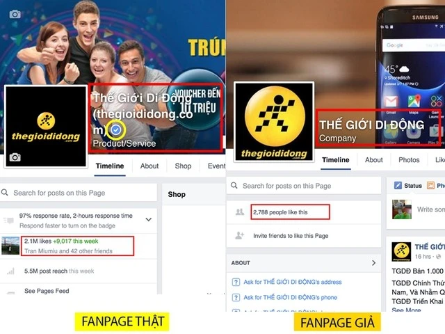 Tất cả các thông tin liên hệ chính thức của Thế Giới Di Động và Điện máy Xanh đều đến từ tổng đài và các trang mạng xã hội có dấu tích xanh xác minh.