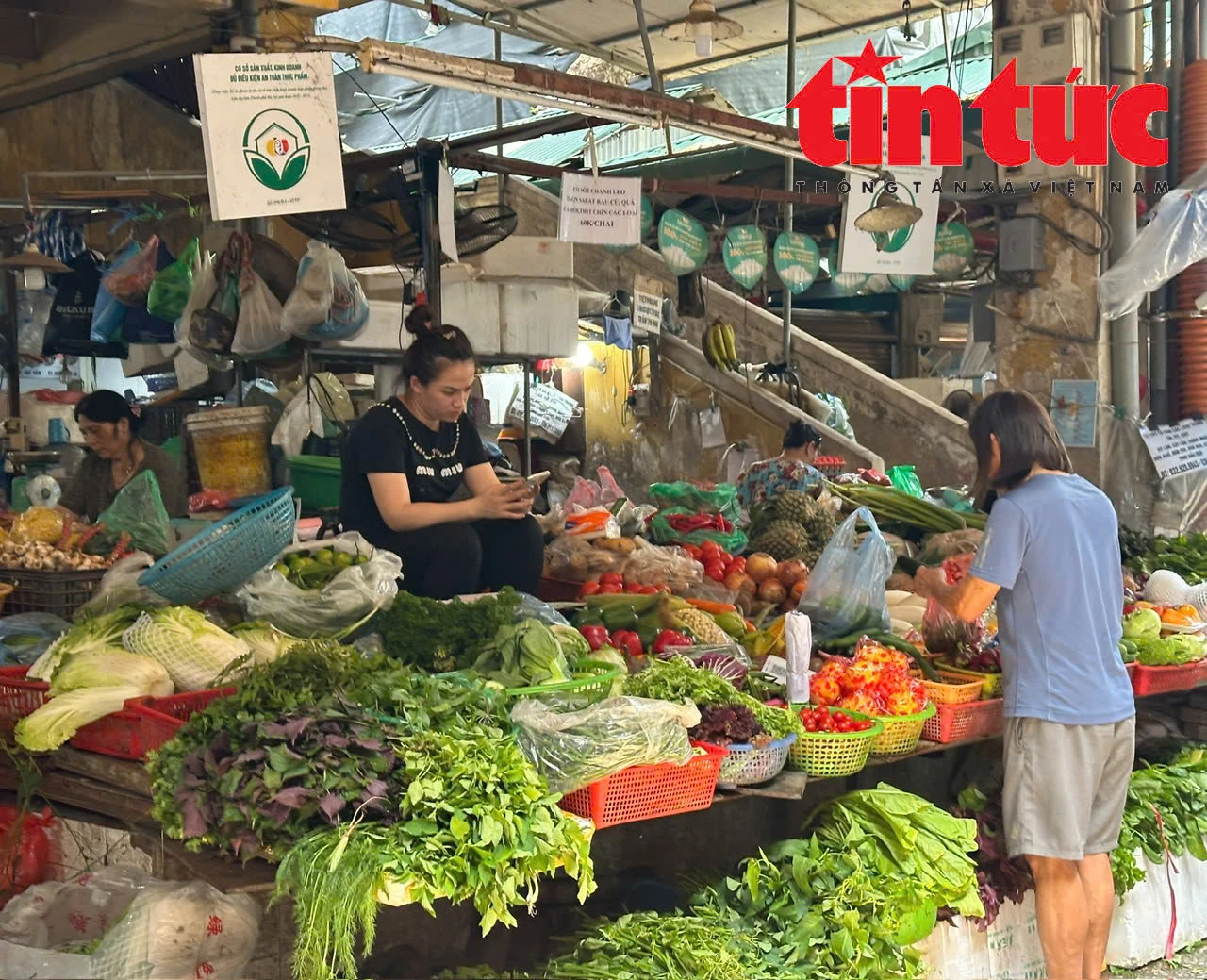 Giá rau xanh tại Hà Nội tăng "chóng mặt" sau ngập lụt.