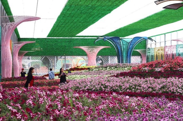 Người dân, du khách tham quan vườn hoa tại Festival Hoa Đà Lạt năm 2022. Người dân, du khách tham quan vườn hoa tại Festival Hoa Đà Lạt năm 2022.