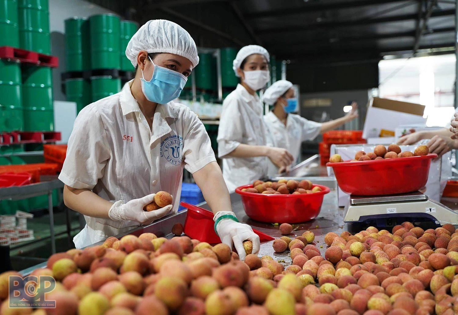 Nông sản Việt cần tiếp tục nâng cao chất lượng đáp ứng nhu cầu ngày càng cao của người tiêu dùng.