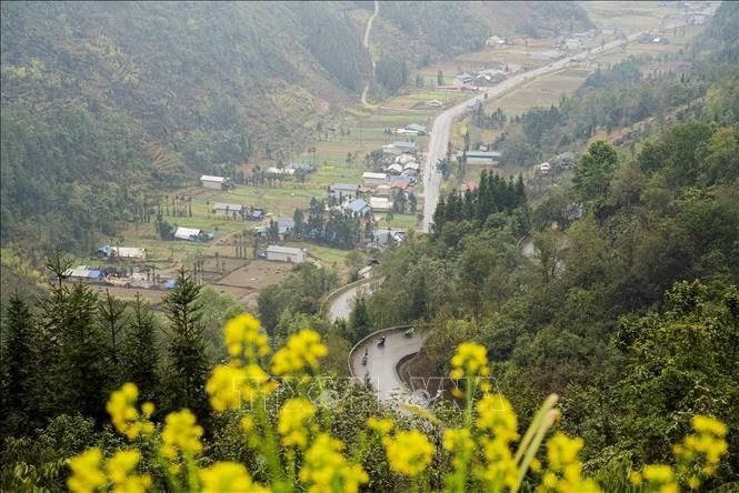 Phố Cáo là một xã vùng cao thuộc huyện Đồng Văn, tỉnh Hà Giang, từ lâu nổi tiếng với khung cảnh thiên nhiên thơ mộng, những ngôi nhà trình tường in đậm dấu ấn kiến trúc của đồng bào dân tộc Mông và những phong tục, tập quán đậm đà bản sắc.