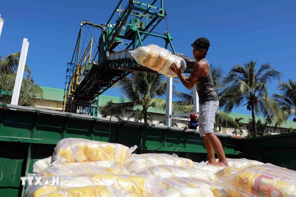 Vận chuyển gạo xuất khẩu bằng đường sông ở nhà máy của Công ty Lương thực Thoại Sơn (Tập đoàn Lộc Trời).