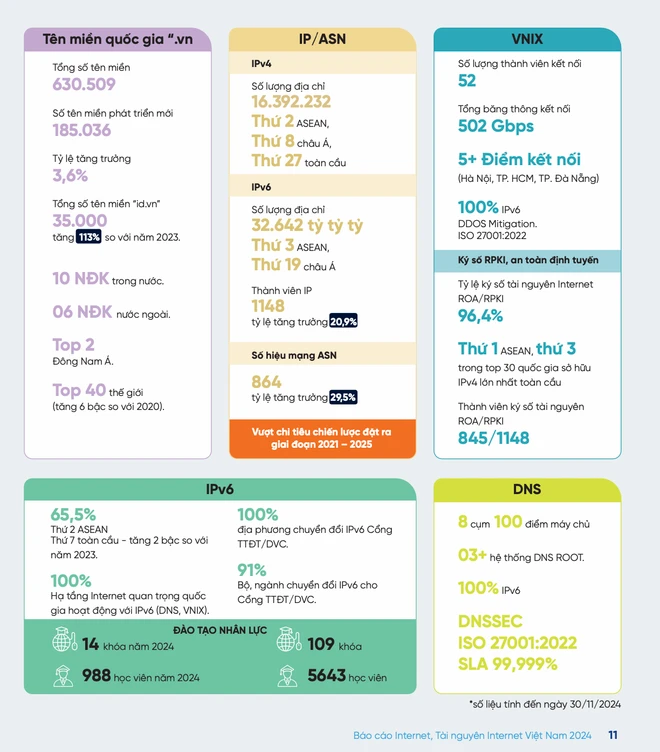Số liệu nổi bật Internet Việt Nam năm 2024. (Nguồn: VNNIC)