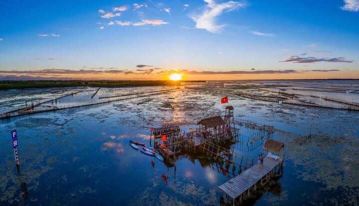 Phá Tam Giang được biết đến là đầm nước lợ lớn nhất Đông Nam Á với thảm thực vật vô cùng phong phú và đặc biệt. Phá Tam Giang được biết đến là đầm nước lợ lớn nhất Đông Nam Á với thảm thực vật vô cùng phong phú và đặc biệt.
