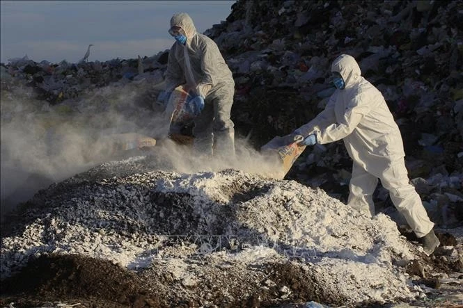 Nhân viên y tế phun hoá chất khử trùng tại bãi chứa chất thải gia cầm nhằm ngăn dịch cúm gia cầm lây lan ở Dolores Hidalgo, bang Guanajuato, Mexico.