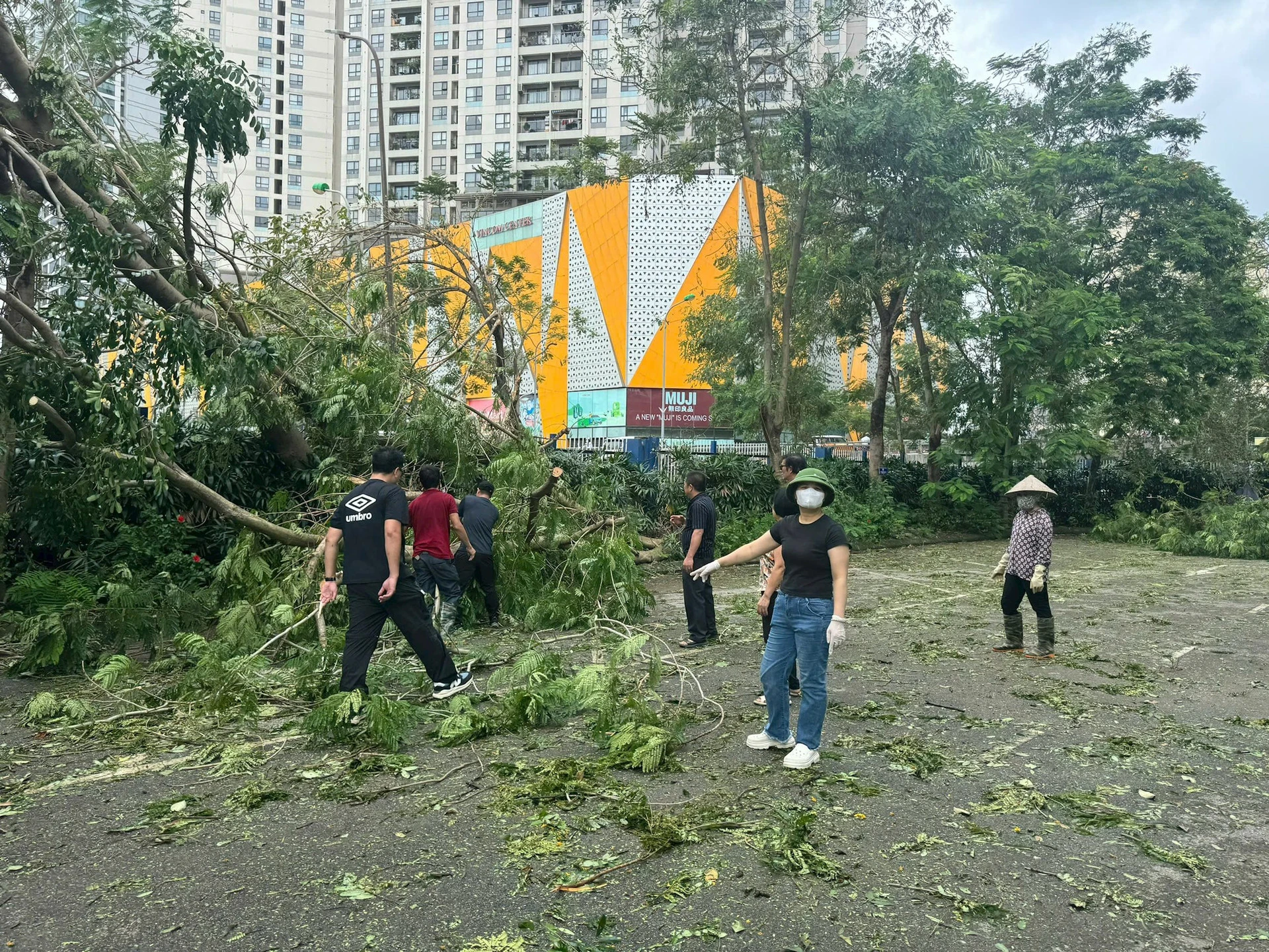 Trường học khắc phục hậu quả do bão số 3.