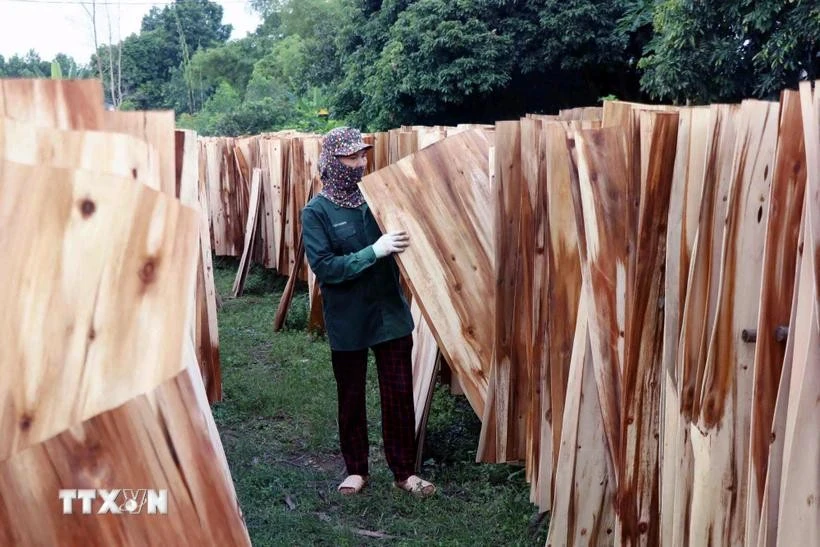 Hàng năm, ngành lâm nghiệp được giao chỉ tiêu khai thác khoảng 30 triệu m3 gỗ, để cung cấp cho ngành chế biến lâm sản.